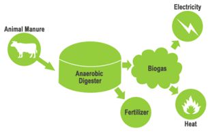 https://www.dairyenergy.co.uk/biogas-explained/